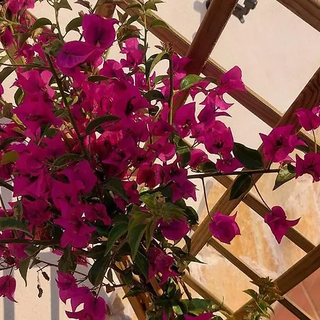 Casa Perla Iridella * Capoliveri (Isola d'Elba)