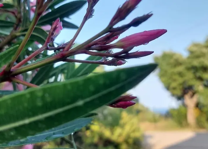 Casa Perla Iridella بيت للعطل *