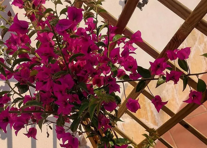 Casa Perla Iridella * 卡波利韦里